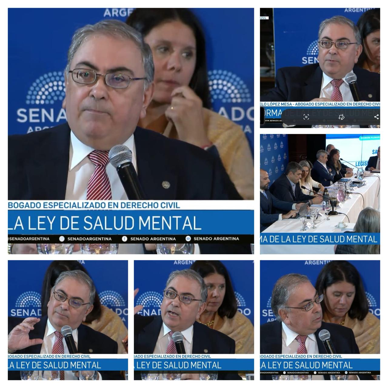 Nuestro Académico Correspondiente Dr. Marcelo López Mesa, expuso en el Plenario de Salud y Legislación  General del Senado de la Nación.